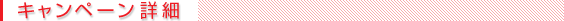 Ly[ڍ